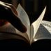 creative short reads