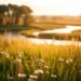 flash fiction that feels like poetry