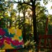 how nature inspires art