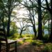 how new experiences change our thoughts