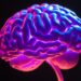 how reading changes the way we think