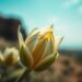 how small thoughts turn into big ideas